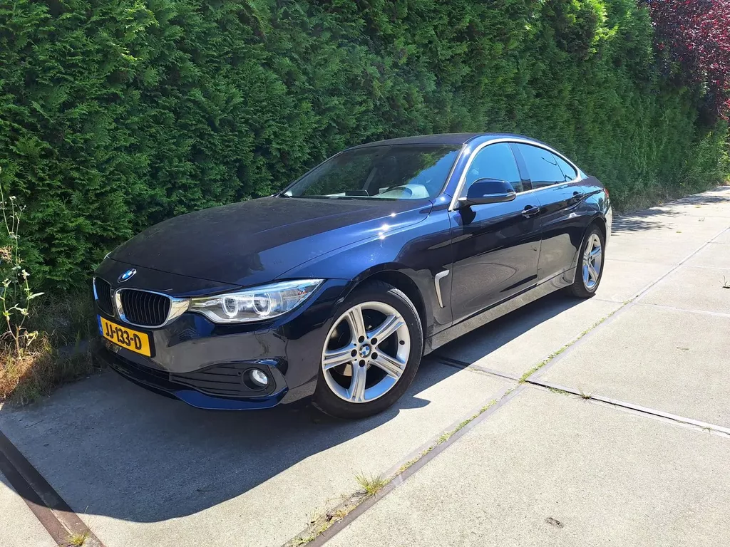 BMW 4 Serie Gran Coup&eacute; 418i Centennial Executive